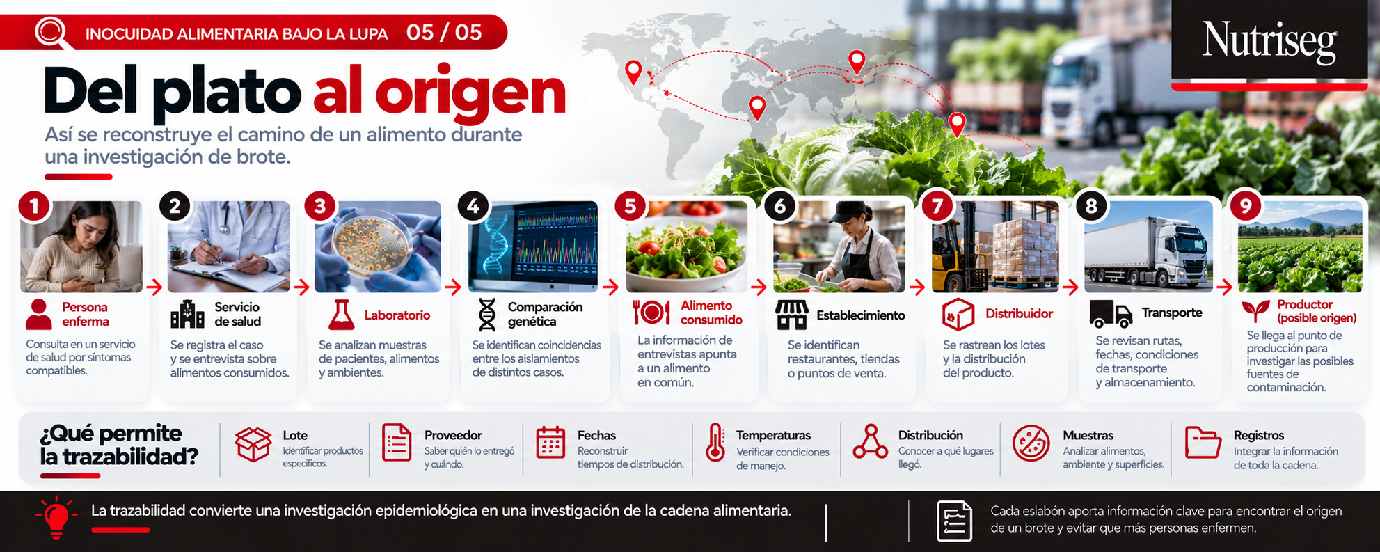 Del plato al origen: cómo se reconstruye el camino de un alimento durante una investigación de brote